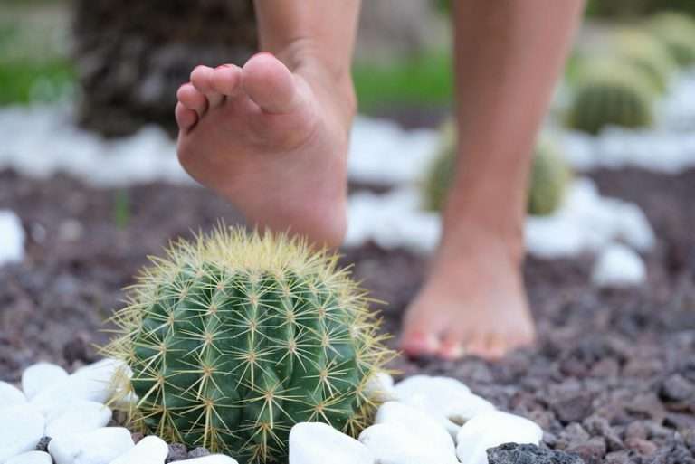 What Is the Difference Between a Corn and a Callus?